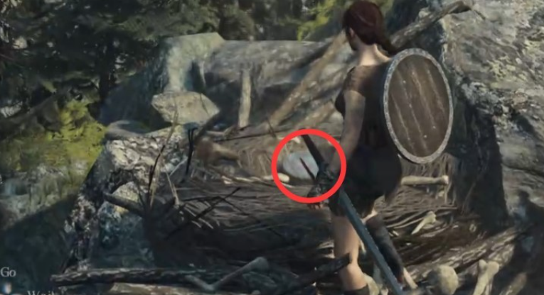 Does Dragons Dogma 2 have resurrection items?