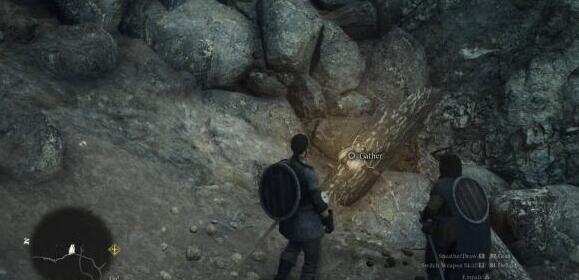 Wo ist der goldene Kaiserkäfer in Dragons Dogma 2?