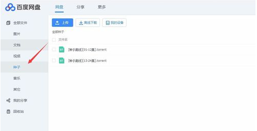 How to download seed link files from Baidu Netdisk