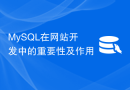 MySQL在网站开发中的重要性及作用