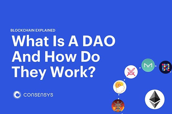 DAO组织的本质是什么？一文详细了解DAO组织-web3.0-