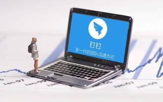 Bagaimana untuk menyemak kehadiran pekerja di DingTalk? DingTalk melihat prosedur kehadiran pekerja