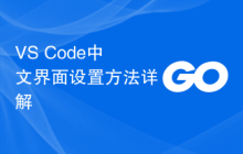 VS Code中文界面设置方法详解