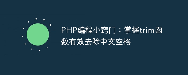 php编程小窍门：掌握trim函数有效去除中文空格