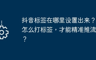 抖音標籤在哪裡設定出來?它怎麼打標籤,才能精準推流?