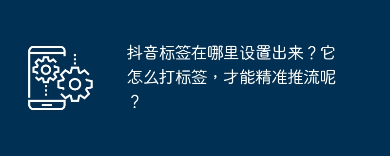 Douyin 태그는 어디에 설정되어 있나요? 정확하게 푸시될 수 있도록 태그를 어떻게 지정해야 합니까?