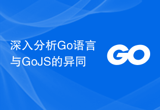 深入分析Go语言与GoJS的异同
