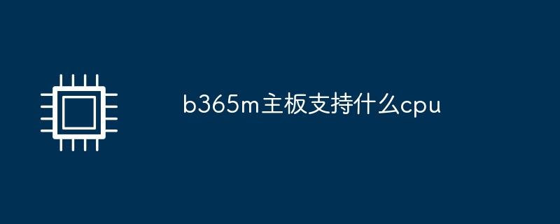 b365m主機板支援什麼cpu