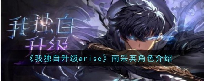 《我獨自升級arise》南採英角色介紹