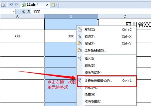 wps表格中輸入百分數的操作步驟