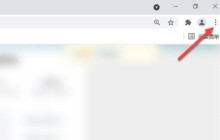 Google浏览器启动时怎么开启新标签_Google浏览器启动时开启新标签的方法