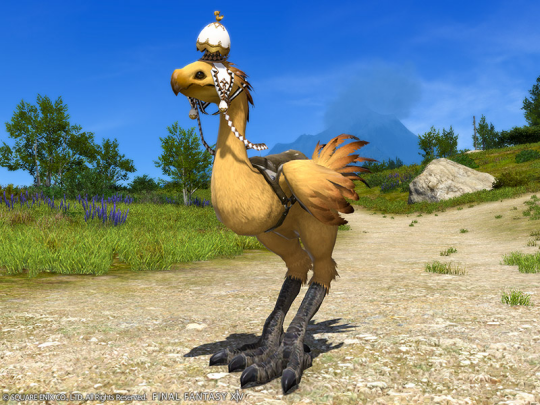 Started! The new seasonal event of Final Fantasy 14 is now open! Easter egg hunting props from previous years are on the shelves, and coupons for Easter egg hunting props are on sale!