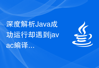 Analisis mendalam tentang sebab dan penyelesaian untuk Java berjalan dengan jayanya tetapi menghadapi kegagalan kompilasi javac