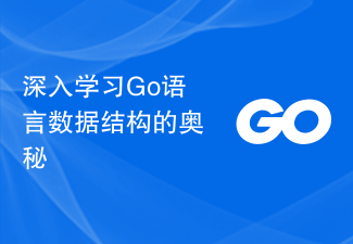 Learn the secrets of Go language data structures in depth