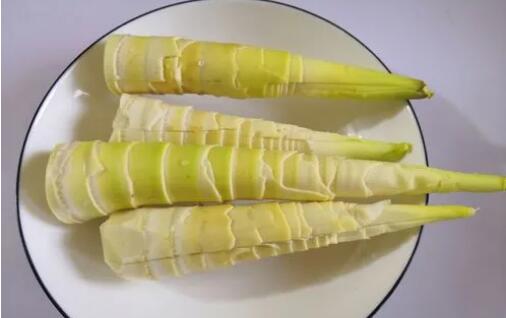 Ant Manor March 31: The spring delicacy Thunder Bamboo Shoots get their name from