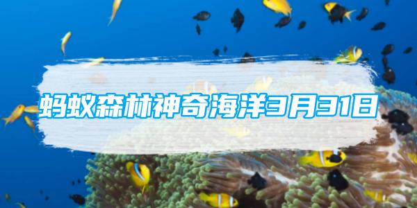 螞蟻森林神奇海洋3月31日：有一種蝦子是海洋魚類的牙醫猜猜它是誰