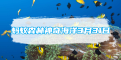蚂蚁森林神奇海洋3月31日:有一种虾是海洋鱼类的牙科医生猜猜它是谁
