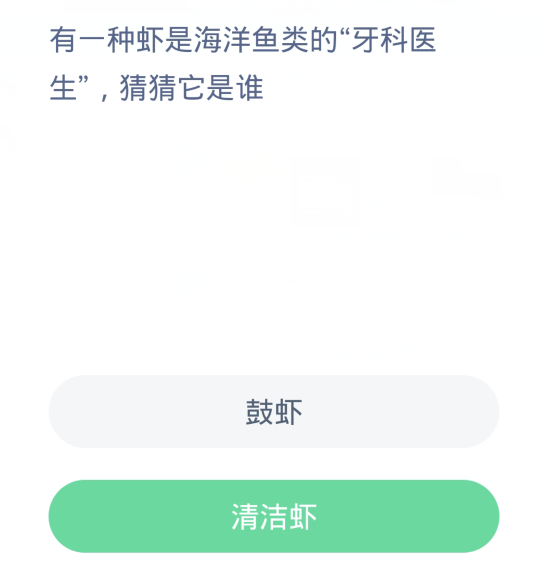 螞蟻森林神奇海洋3月31日：有一種蝦子是海洋魚類的牙醫猜猜它是誰