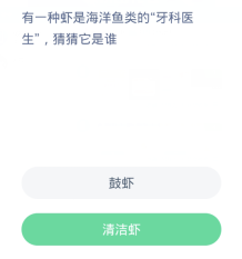 蚂蚁森林神奇海洋3月31日:有一种虾是海洋鱼类的牙科医生猜猜它是谁