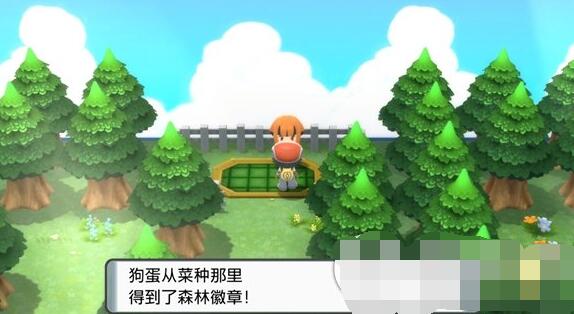 ポケモンクリスタルダイヤモンドブライトパール自転車の入手方法