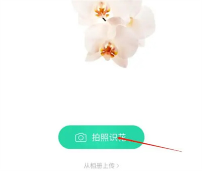 Comment identifier les fleurs et les plantes sur WeChat