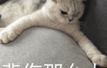 十四年前的国游一哥，如今却被韩国公司收购？细数九城代理的牛叉游戏