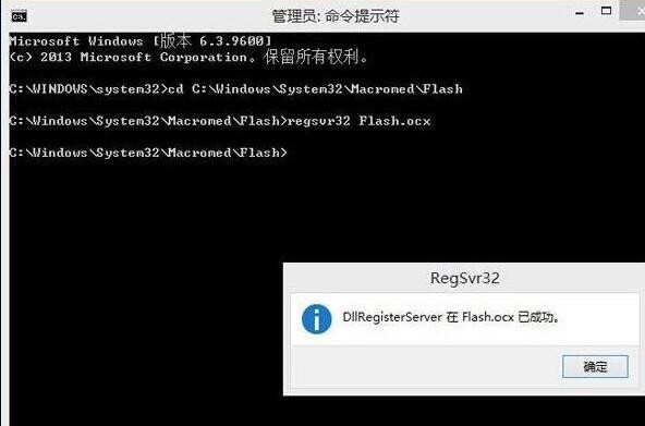 How to handle the failure of loading flash in WIN8 browser