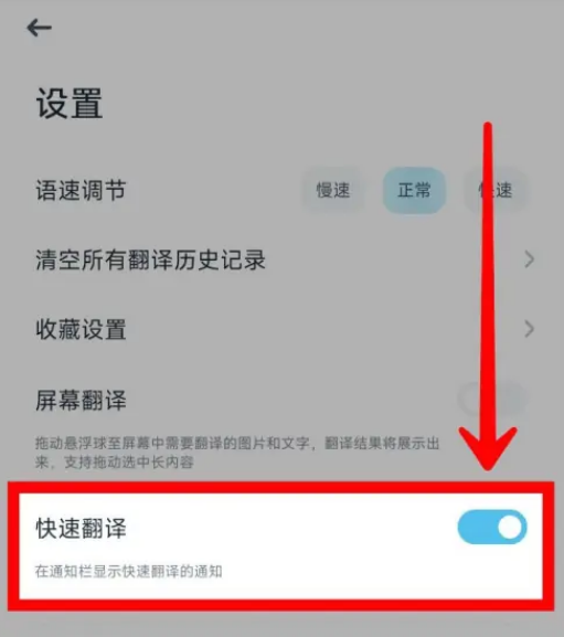 How to enable fast translation on Youdao Translator