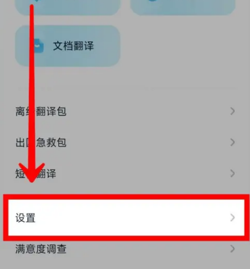 How to enable fast translation on Youdao Translator