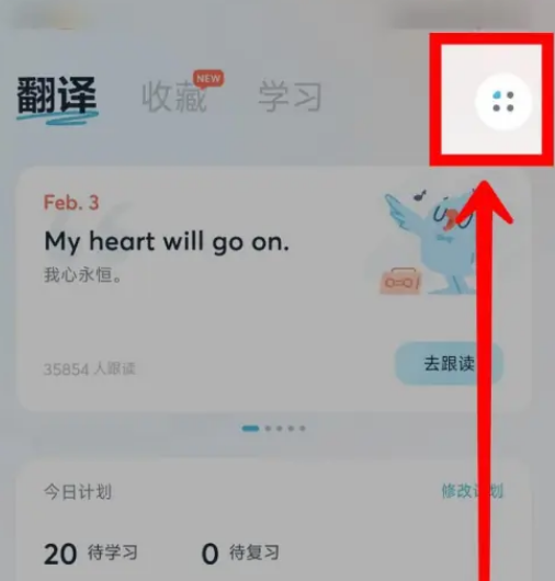 How to enable fast translation on Youdao Translator