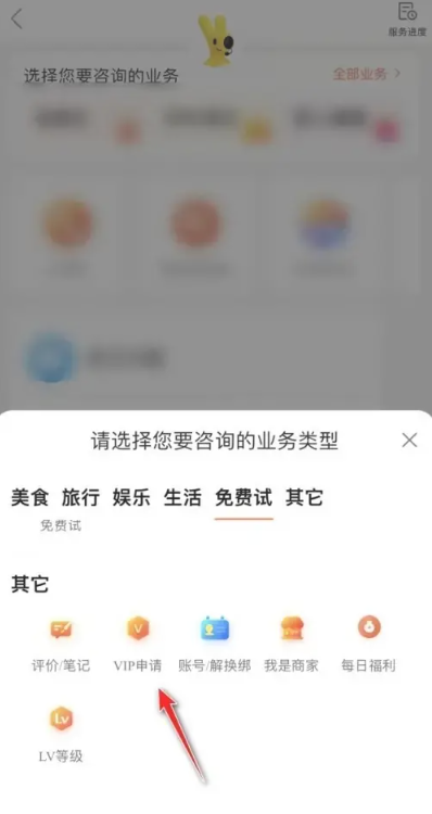 大众点评vip怎么开通