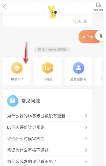 大众点评vip怎么开通