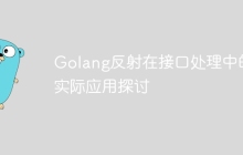 Golang反射在接口处理中的实际应用探讨