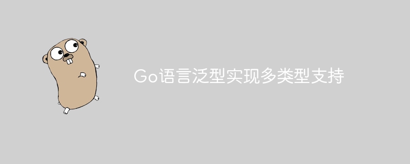 Go语言泛型实现多类型支持-Golang-