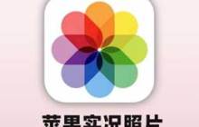 如何将实况照片转换为视频？