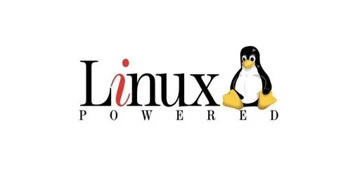 Linux系統管理必備技能！輕鬆掌握Vim編輯器安裝教學