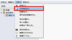Beyond Compare對比時自動忽略不重要差異的簡單方法