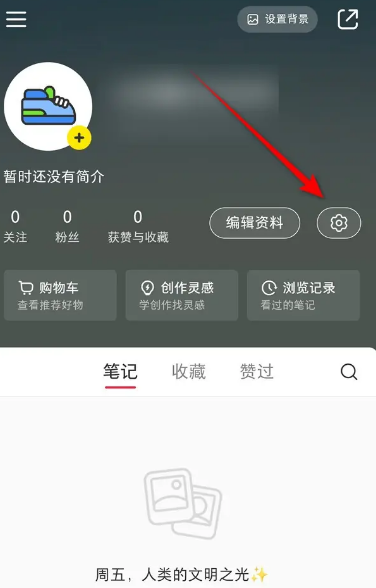 How to set up silent playback in Xiaohongshu