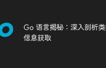 Go 语言揭秘:深入剖析类型信息获取