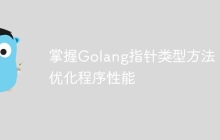 掌握Golang指针类型方法,优化程序性能