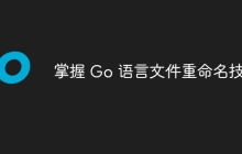 掌握 Go 语言文件重命名技术