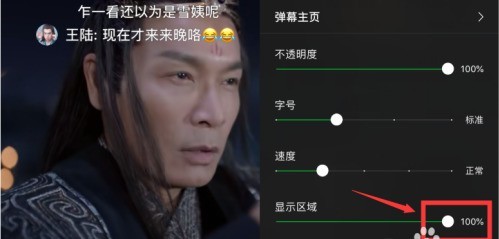 How to set the barrage display area on iQiyi_How to set the barrage area on iQiyi