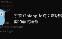 字节 Golang 招聘：求职指南和面试准备