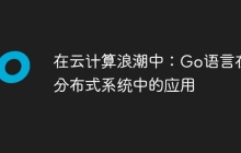 在云计算浪潮中：Go语言在分布式系统中的应用