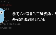 学习Go语言的正确姿势：从基础语法到项目实战