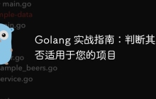 Golang 实战指南：判断其是否适用于您的项目