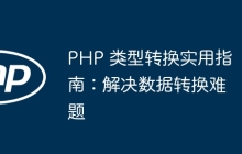 PHP 类型转换实用指南：解决数据转换难题