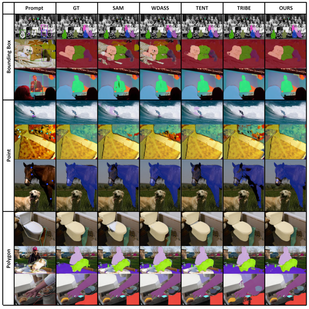 CVPR 2024 | 分割一切模型SAM泛化能力差？域适应策略给解决了