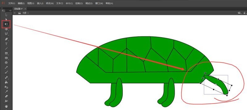 Comment dessiner et colorier une tortue dans Flash