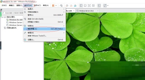 VMware Workstation怎么截屏_VMware Workstation截屏教程